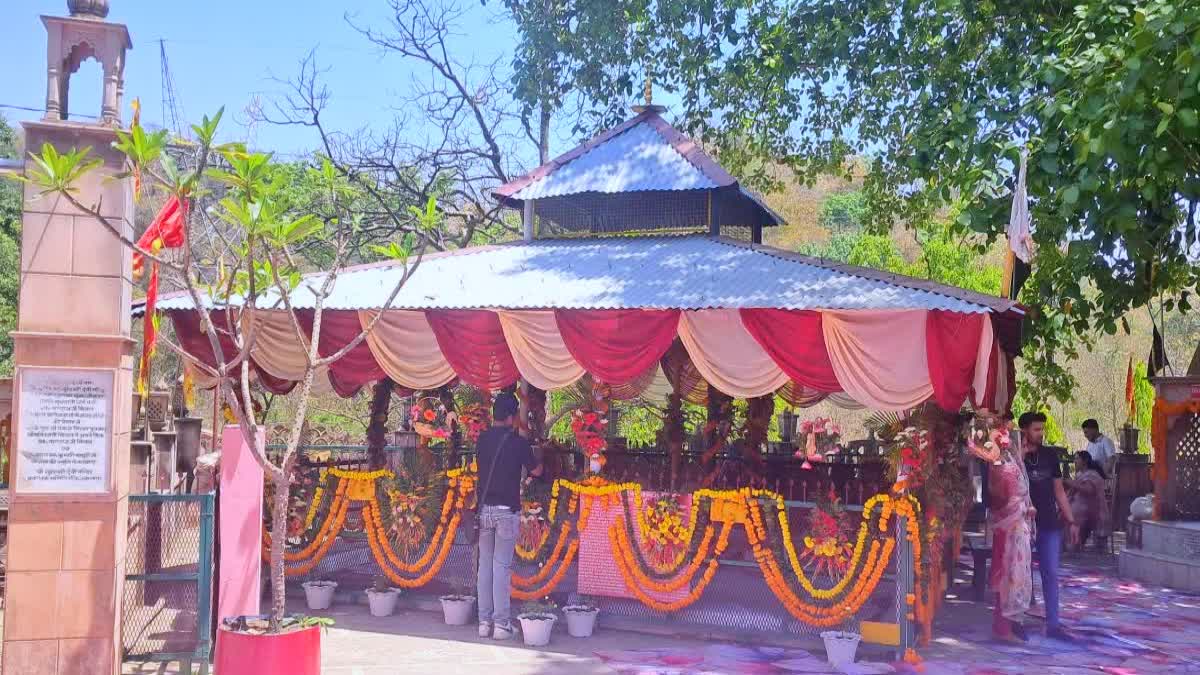 उत्तराखंड: मंत्री के बेटे की शादी मामले में कार्रवाई: दो फॉरेस्ट गार्ड सस्पेंड, रेंजर व वन दरोगा हटाए गए