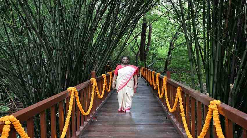 राष्ट्रपति मुर्मू ने देखा अपना ड्रीम प्रोजेक्ट, नवंबर तक तैयार होगा राष्ट्रपति उद्यान, दून को मिलेगी नई पहचान