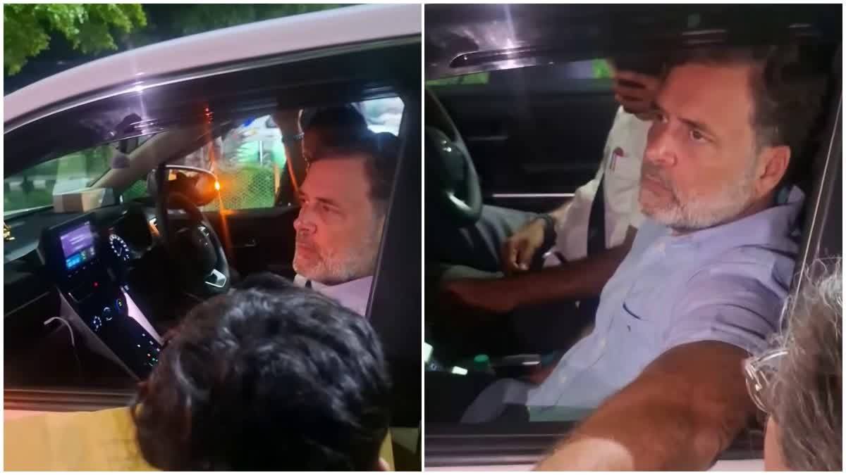 तीन हजार पेड़ों की कटाई का मुद्दा संसद तक पहुंचेगा, आंदोलनकारियों से मिले राहुल गांधी